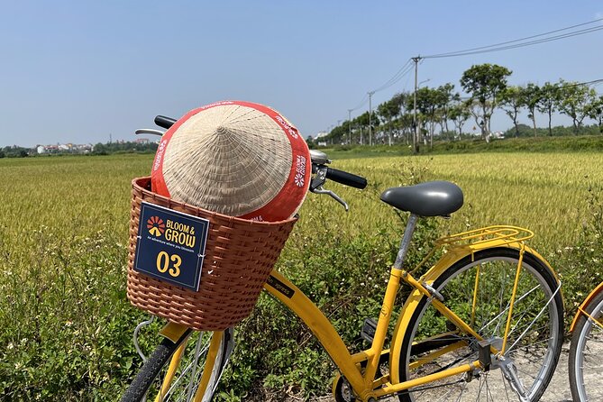 3 Days Explore Culture in an Active Way in Hoi an