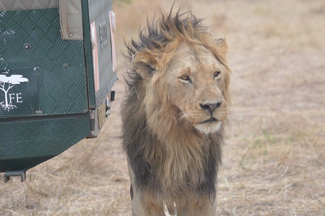 3-Days Masai Mara Rhythms Safari