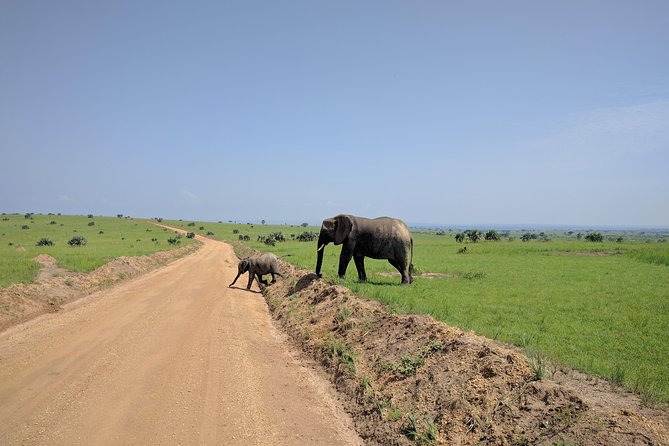 3 Days Murchison Falls Park Uganda