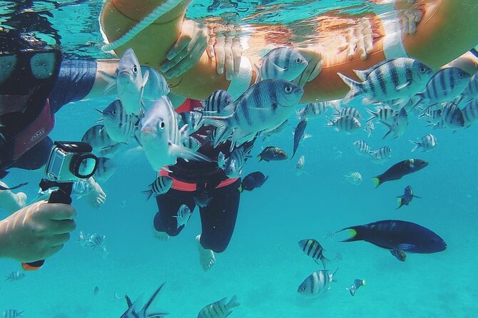 3 Days Tioman Island Package From Singapore (Private Tour)