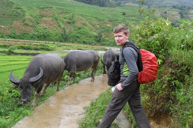 3 Days Trekking the Round Trip From Sapa to Lao Cai