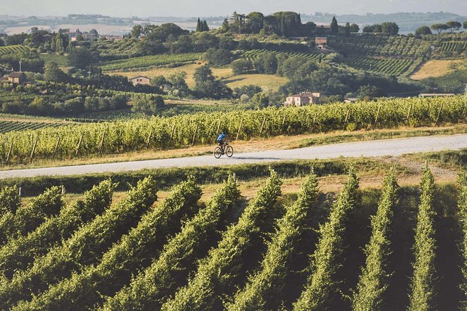 3-Hour Bike Tour and Wine in Tuscany: Nobiles Path