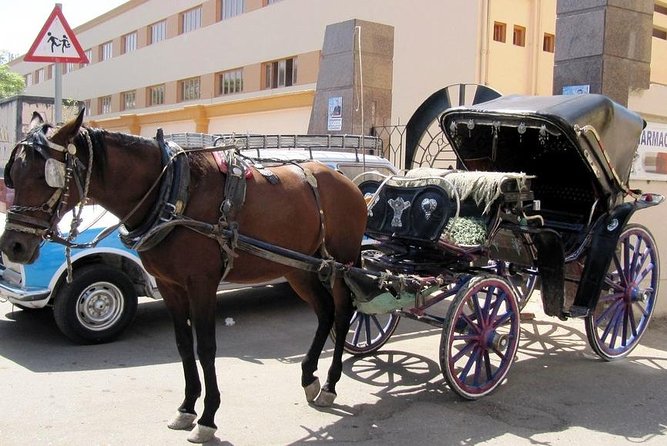 3-Hour Private Luxor Horse Carriage City Tour - Tour Overview