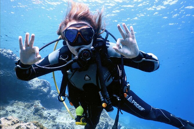 3 Hour Private Scuba Diving Experience