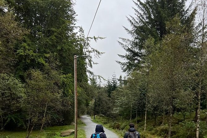 3-Hour Private Tour Hiked Through the Bergen Mountains