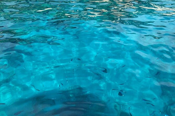 3 Hour Shared Cinque Terre Tour + Swim Stops at Secluded Beaches