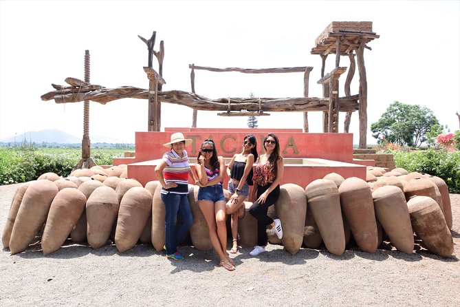 3-Hour Wine and Pisco Tour / Tacama and El Catador