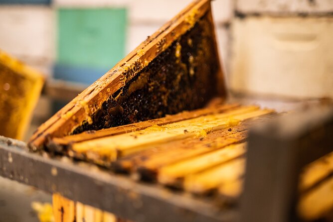 30-Minute Guided Honey Tasting Activity in Melini