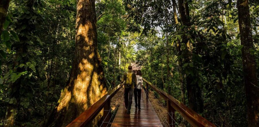 3D Tambopata Experience| Lake Sandoval-Monkey Island-Hoguera