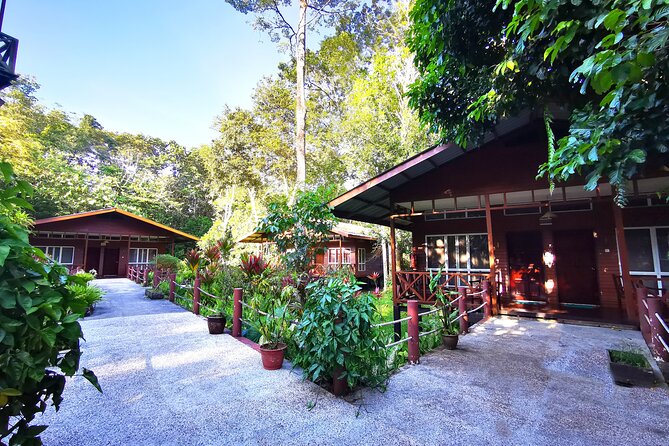 3D2N Sukau Wildlife Experience