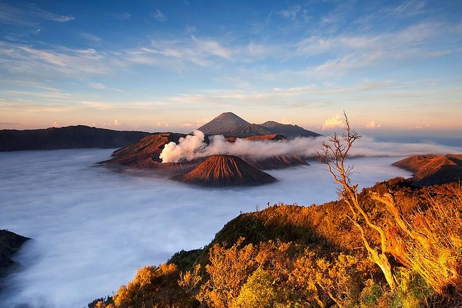 3Days - Adventure Bromo Ijen via Surabaya - Overview of the Tour