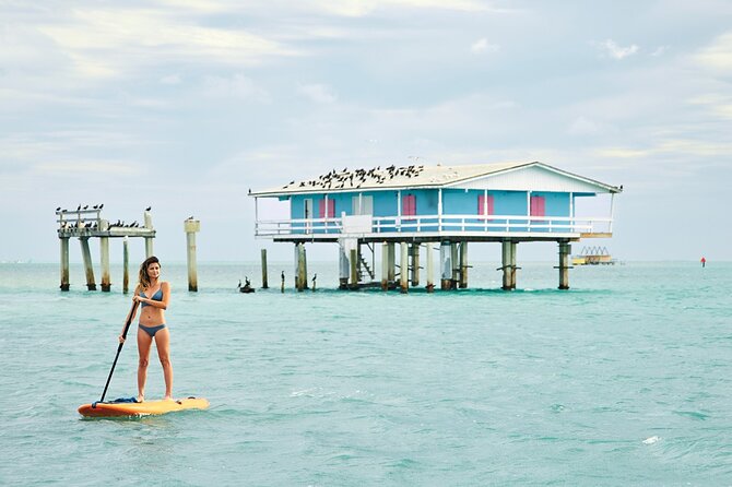 3h Miami Private Boat Tour With Sandbar Experience - Tour Overview