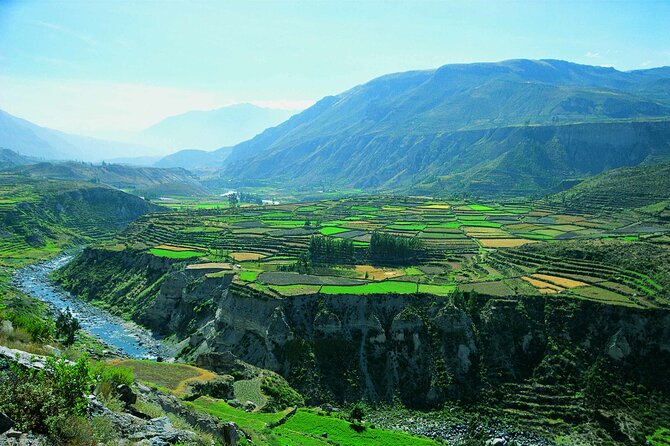4 Day Arequipa and Colca Canyon Tour