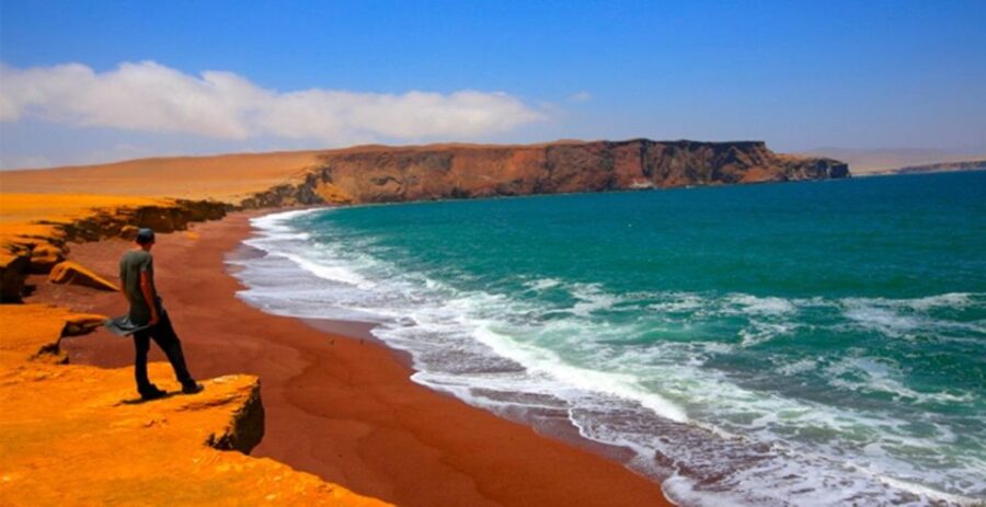 4 Day From Lima: Nazca Lines Flight, Paracas, and Huacachina
