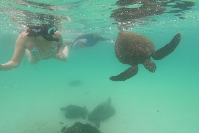 8 Best 4 Day Tours In Galapagos Islands
