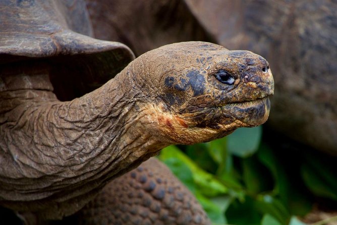 4-day Galapagos on a Budget Experience