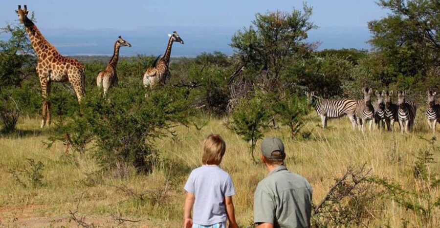 4 Day Kruger National Park Private Safari From Johannesburg