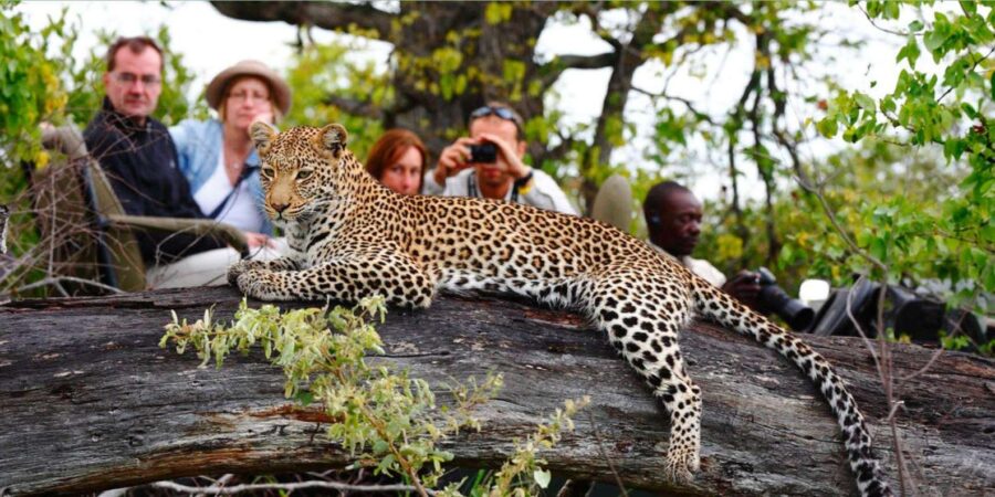 5 Best 4 Day Tours In Knysna