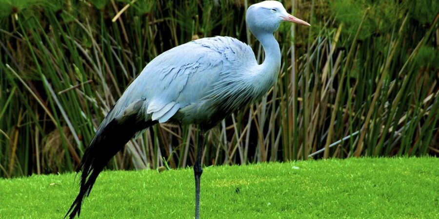 4 Day Small Group Garden Route Tour From Cape Town - Tour Overview and Pricing