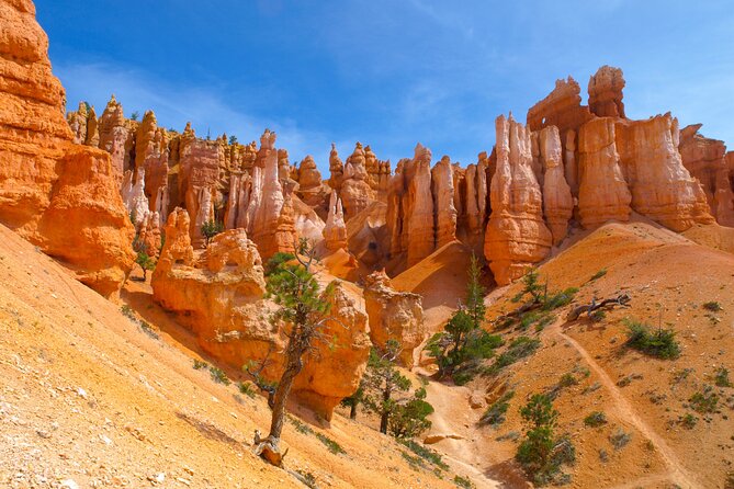4-Day Southwest Giant Ring With National Parks Tour From LV - Tour Overview and Inclusions