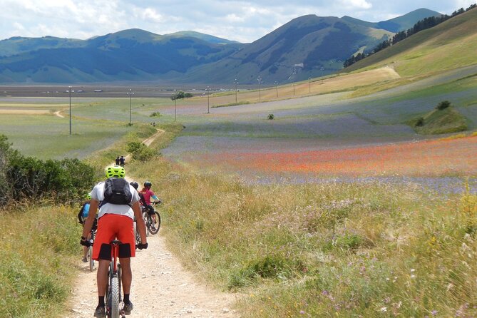2 Best Guided Tours In Marche