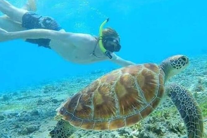 4 Days Private Tour Bali Highlights Nusa Penida and Ubud - Tour Overview and Inclusions