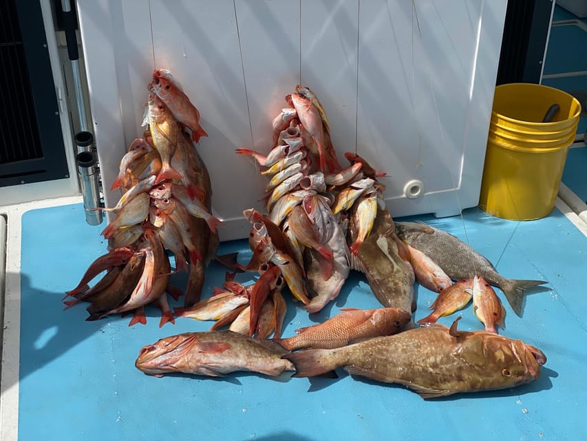 2 Best Fishing Tours In Naples Florida