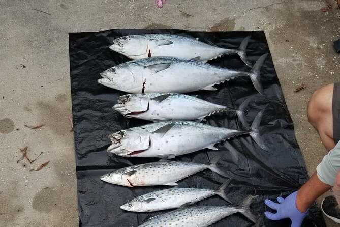 4-hour Fishing Adventure at Belleair Causeway