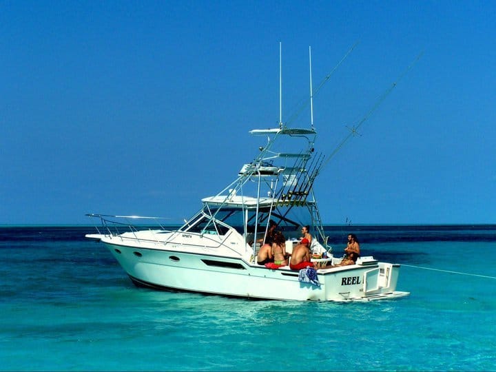 4 Hour Fishing or Snorkeling 38FT Tiara