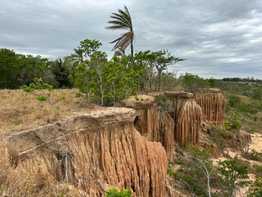 4- Hour Hiking Tour in Two Different Tropical Worlds - Tour Overview and Pricing