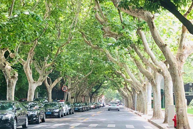 4-Hour Private Former French Concession Walking Tour With Dim Sum - Tour Overview