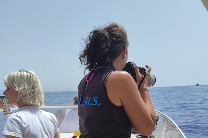 4 Hours Dolphin Watching Tour in Porto Empedocle