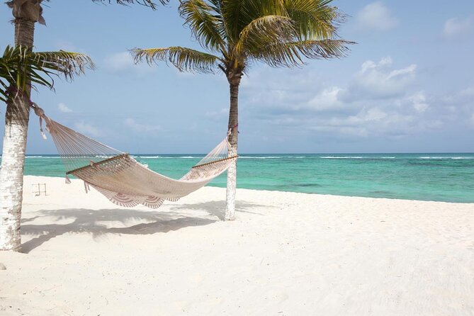 6 Best Fishing Tours In Nassau