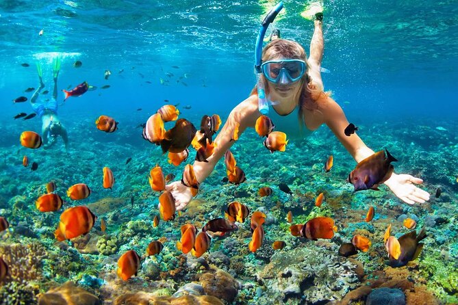 4 Hours Private Tour With Snorkeling and West Bay Beach Break - Tour Overview and Details