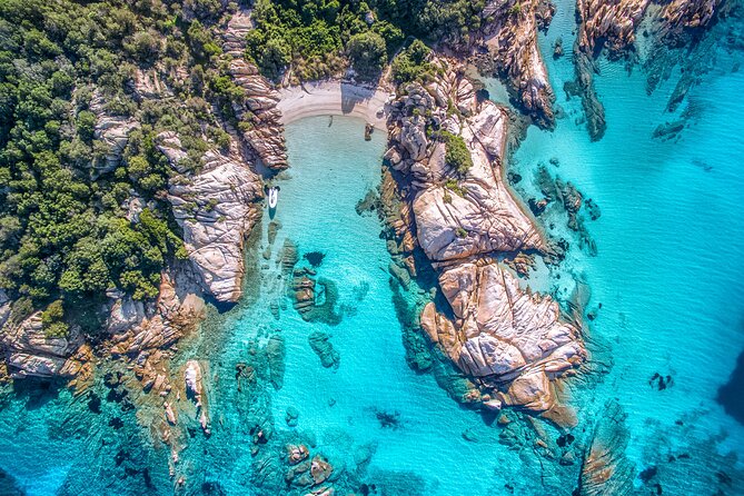 4 Hours Snorkeling With Guide in the Marine Protected Area of Tavolara - Activity Overview