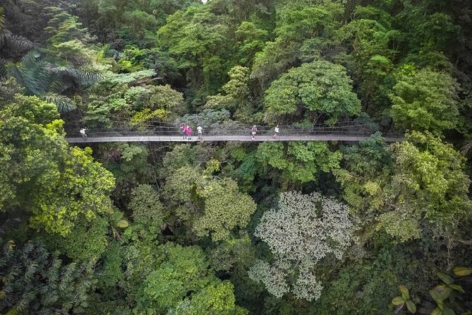 4-in-1 Arenal Hanging Bridges, La Fortuna Waterfall, Volcano Hike & Hot Springs - Arenal Hanging Bridges Experience