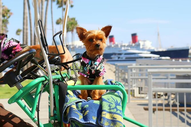 2 Best Bike Rentals In Long Beach