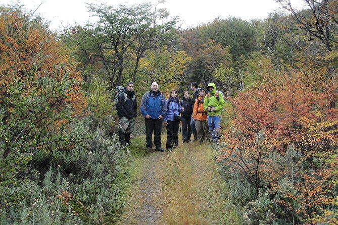 5.5-Hour Nat Park W/ Hiking *Shore Excursion* USHUAIA (Shared Tour for Cruises)