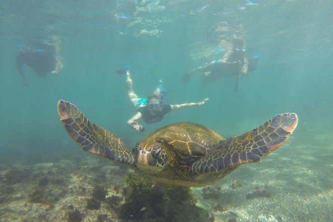 5 Day Classic Isabela Island Tour