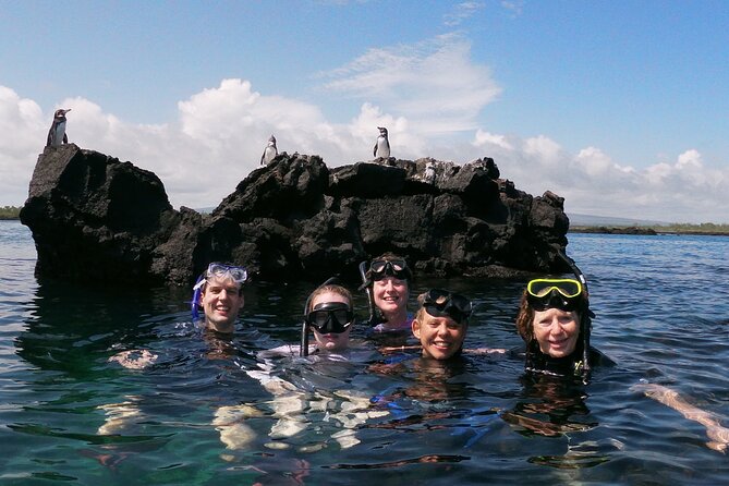 5-Day Galapagos Island Hopping Tour: Los Tuneles, Tintoreras and Isabela