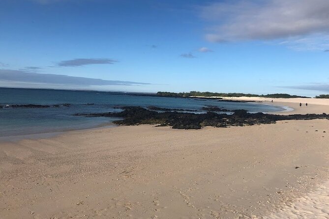5-Day Galapagos Luxury: Santa Cruz, Isabela, With Local Flight and Snorkeling