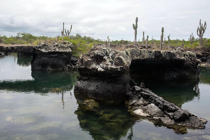 Best Guided Tours In Galapagos Islands
