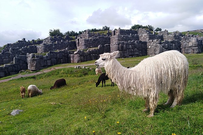5-Day Machu Picchu Private Guided Historical and Cultural Tour - Tour Overview