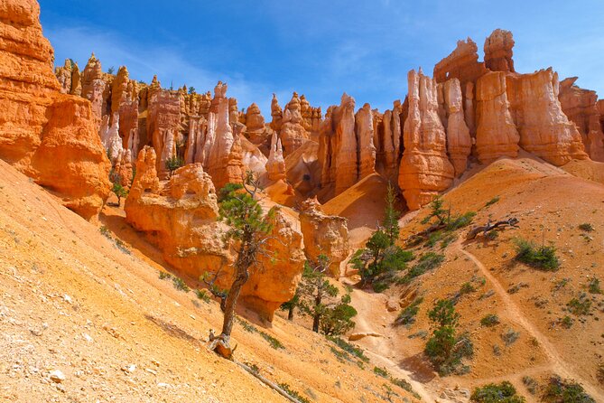 5-Day National Park Tour From Las Vegas - Inclusions and Exclusions