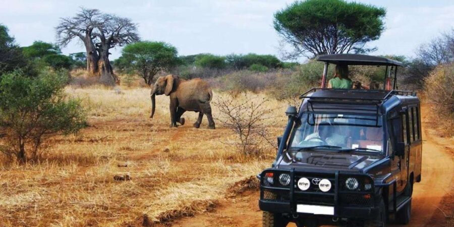5 Day Zululand Private Tour From Durban