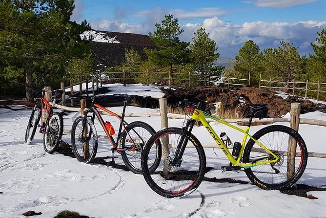 5-Hour Mount Etna Mountain Biking Tour - Bike Rental and Safety Gear