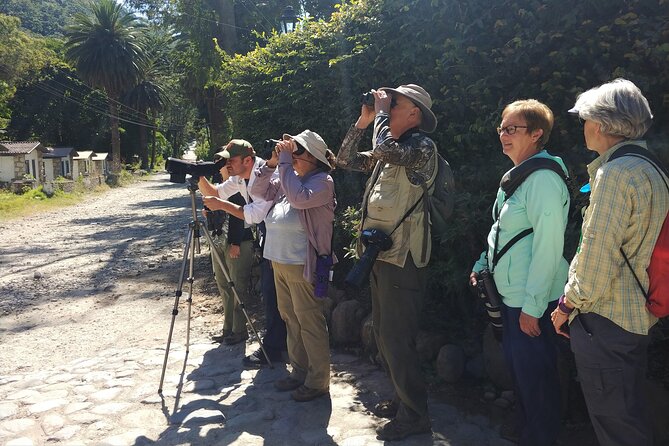 5-Hour Private Birdwatching Experience in San Juan La Laguna - Overview of the Experience