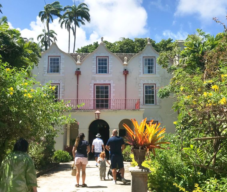 3 Best Tours In Speightstown