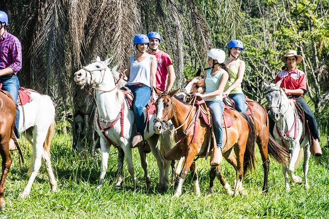 5-In-1 Rincon De La Vieja National Park Adventure Day Tour