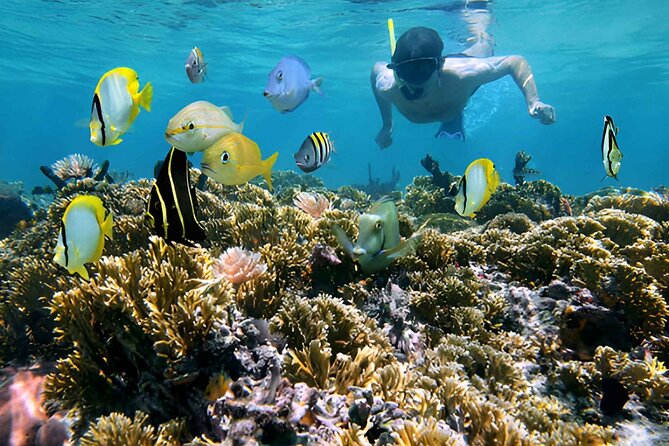 5 Islands Tour With Lunch Snorkeling and Plankton